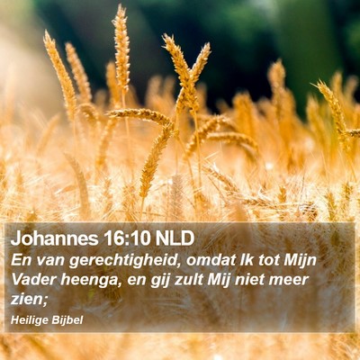 Johannes 16:10 NLD Bible Verse Image