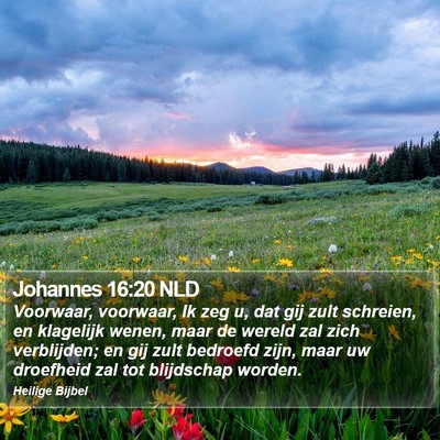 Johannes 16:20 NLD Bible Verse Image