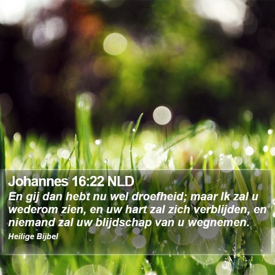 Johannes 16:22 NLD Bible Verse Image