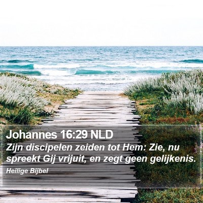 Johannes 16:29 NLD Bible Verse Image