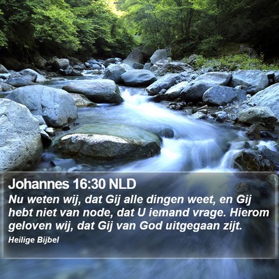 Johannes 16:30 NLD Bible Verse Image