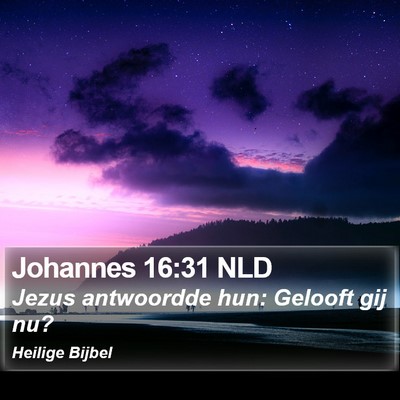Johannes 16:31 NLD Bible Verse Image