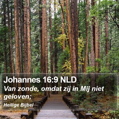 Johannes 16:9 NLD Bible Verse Image