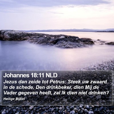Johannes 18:11 NLD Bible Verse Image