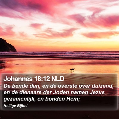 Johannes 18:12 NLD Bible Verse Image