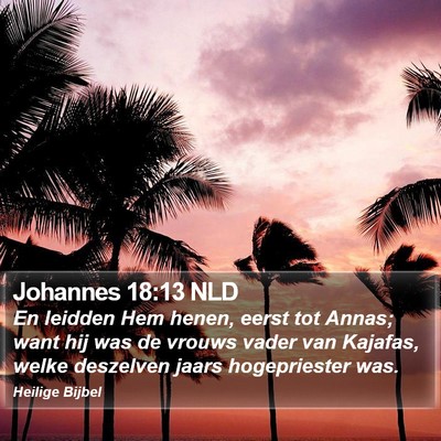 Johannes 18:13 NLD Bible Verse Image