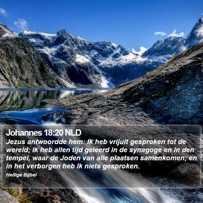 Johannes 18:20 NLD Bible Verse Image