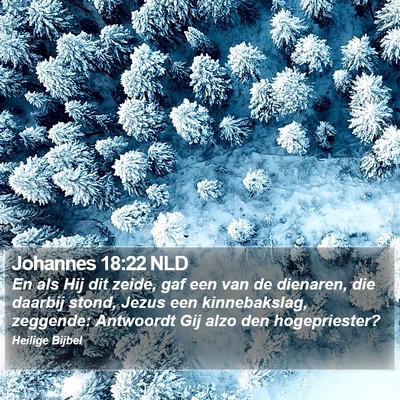 Johannes 18:22 NLD Bible Verse Image
