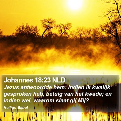 Johannes 18:23 NLD Bible Verse Image