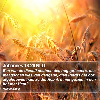 Johannes 18:26 NLD Bible Verse Image