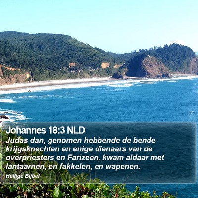 Johannes 18:3 NLD Bible Verse Image