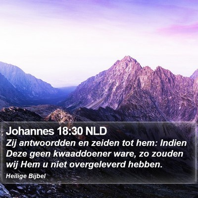 Johannes 18:30 NLD Bible Verse Image