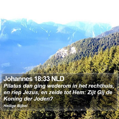Johannes 18:33 NLD Bible Verse Image
