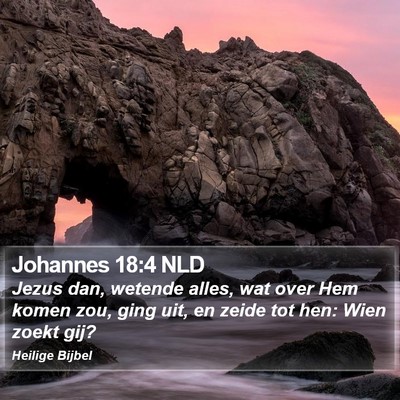 Johannes 18:4 NLD Bible Verse Image