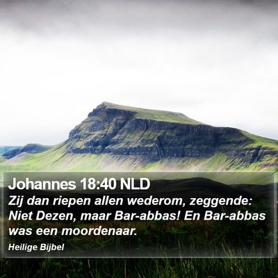 Johannes 18:40 NLD Bible Verse Image