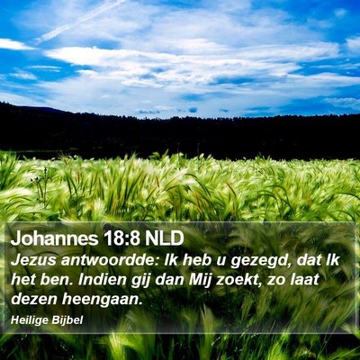 Johannes 18:8 NLD Bible Verse Image
