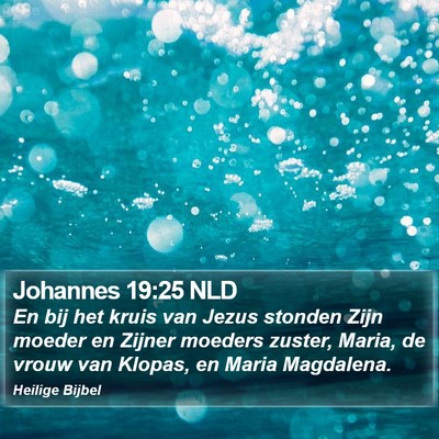 Johannes 19:25 NLD Bible Verse Image