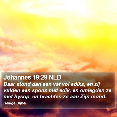 Johannes 19:29 NLD Bible Verse Image