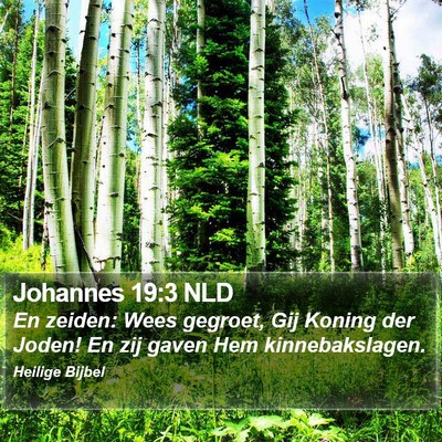 Johannes 19:3 NLD Bible Verse Image