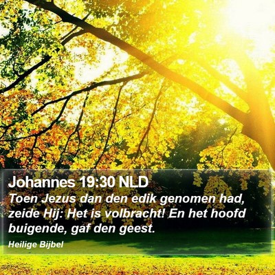Johannes 19:30 NLD Bible Verse Image