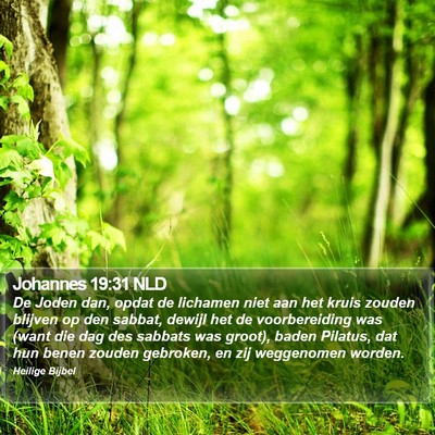 Johannes 19:31 NLD Bible Verse Image