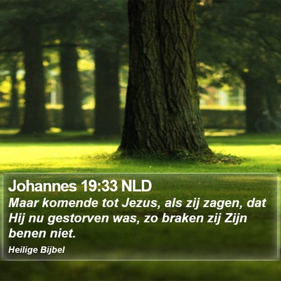 Johannes 19:33 NLD Bible Verse Image