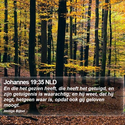 Johannes 19:35 NLD Bible Verse Image