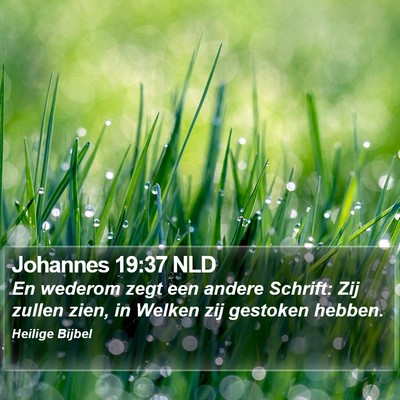 Johannes 19:37 NLD Bible Verse Image