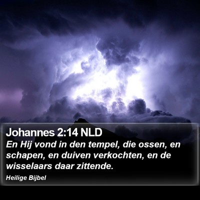 Johannes 2:14 NLD Bible Verse Image