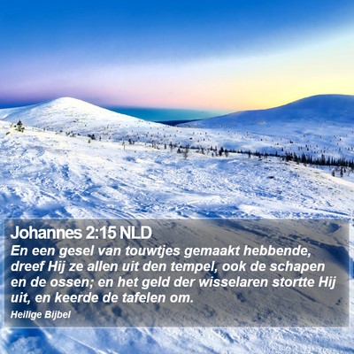 Johannes 2:15 NLD Bible Verse Image