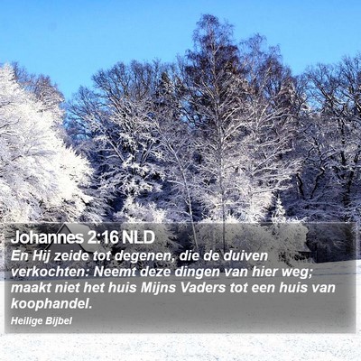 Johannes 2:16 NLD Bible Verse Image