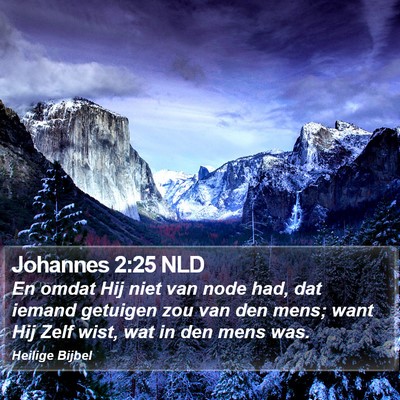 Johannes 2:25 NLD Bible Verse Image