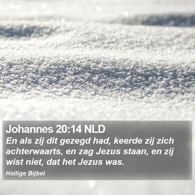 Johannes 20:14 NLD Bible Verse Image