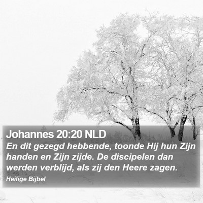 Johannes 20:20 NLD Bible Verse Image