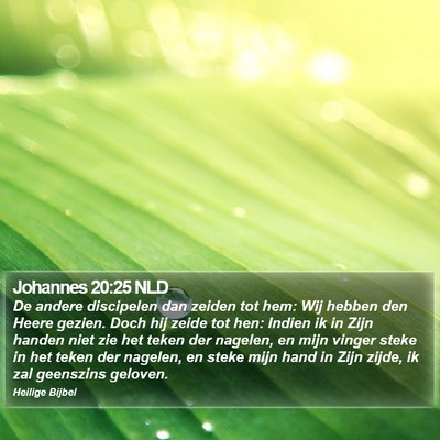 Johannes 20:25 NLD Bible Verse Image
