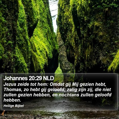 Johannes 20:29 NLD Bible Verse Image