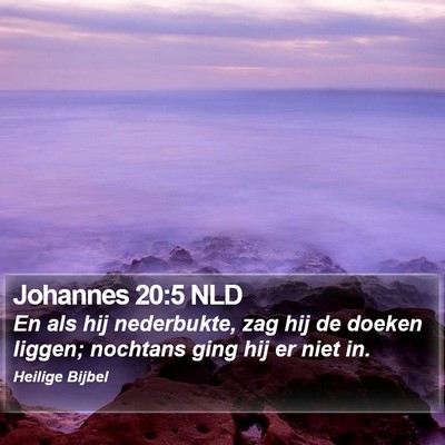 Johannes 20:5 NLD Bible Verse Image