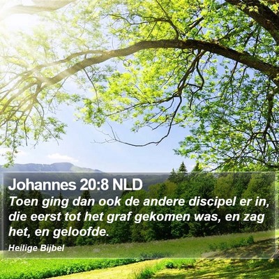 Johannes 20:8 NLD Bible Verse Image