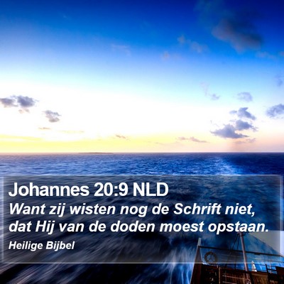 Johannes 20:9 NLD Bible Verse Image