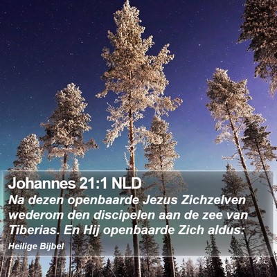 Johannes 21:1 NLD Bible Verse Image