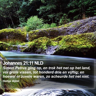 Johannes 21:11 NLD Bible Verse Image