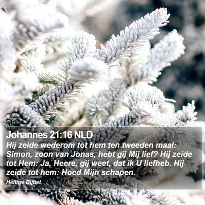 Johannes 21:16 NLD Bible Verse Image