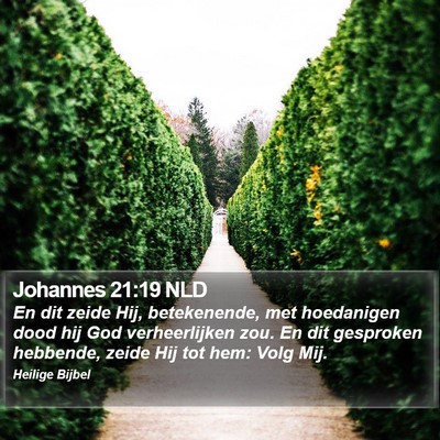 Johannes 21:19 NLD Bible Verse Image