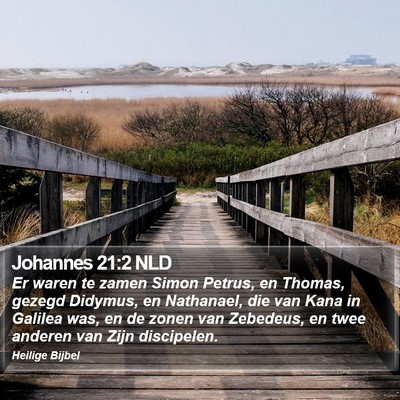 Johannes 21:2 NLD Bible Verse Image