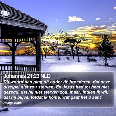 Johannes 21:23 NLD Bible Verse Image