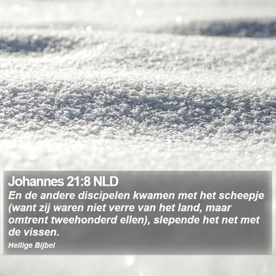 Johannes 21:8 NLD Bible Verse Image
