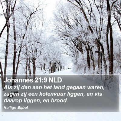Johannes 21:9 NLD Bible Verse Image
