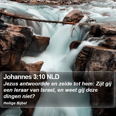 Johannes 3:10 NLD Bible Verse Image