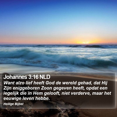 Johannes 3:16 NLD Bible Verse Image