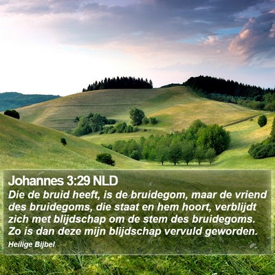 Johannes 3:29 NLD Bible Verse Image